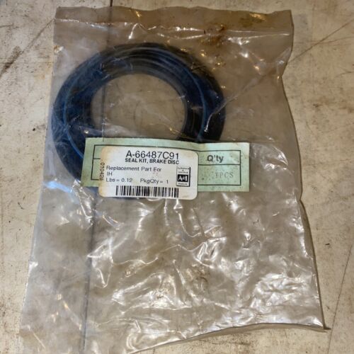 A-66487C91 Brake Disc Seal Kit