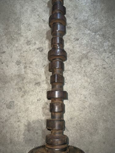 Case International 584 585 595 D206 Camshaft W/gear