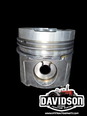 Piston W/rings & Clips 3300 M-1654262