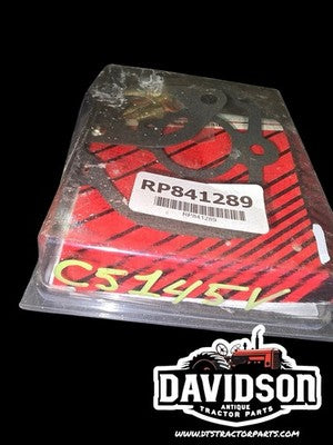 RP841289 Carberator Repair Kit